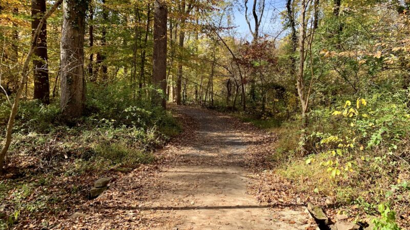 Rocky Run Stream Valley Trail - Fairfax, VA
