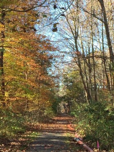 Rocky Run Stream Valley Trail - Fairfax, VA