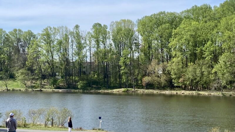 Royal Lake Park - Fairfax, VA