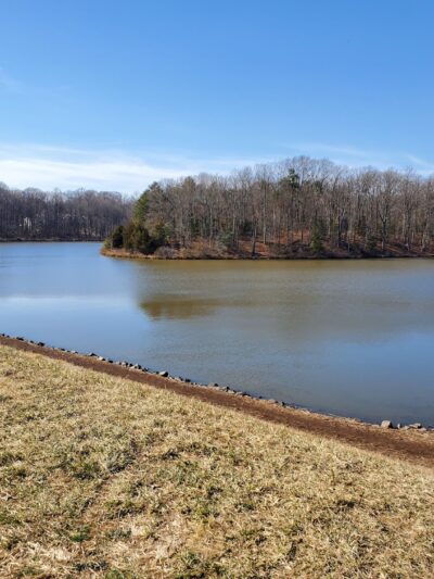 Royal Lake Park - Fairfax, VA