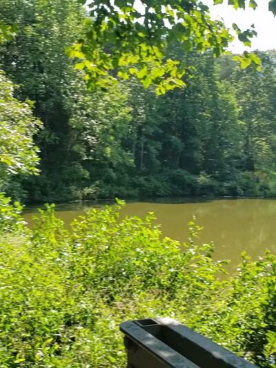 Royal Lake Park - Fairfax, VA