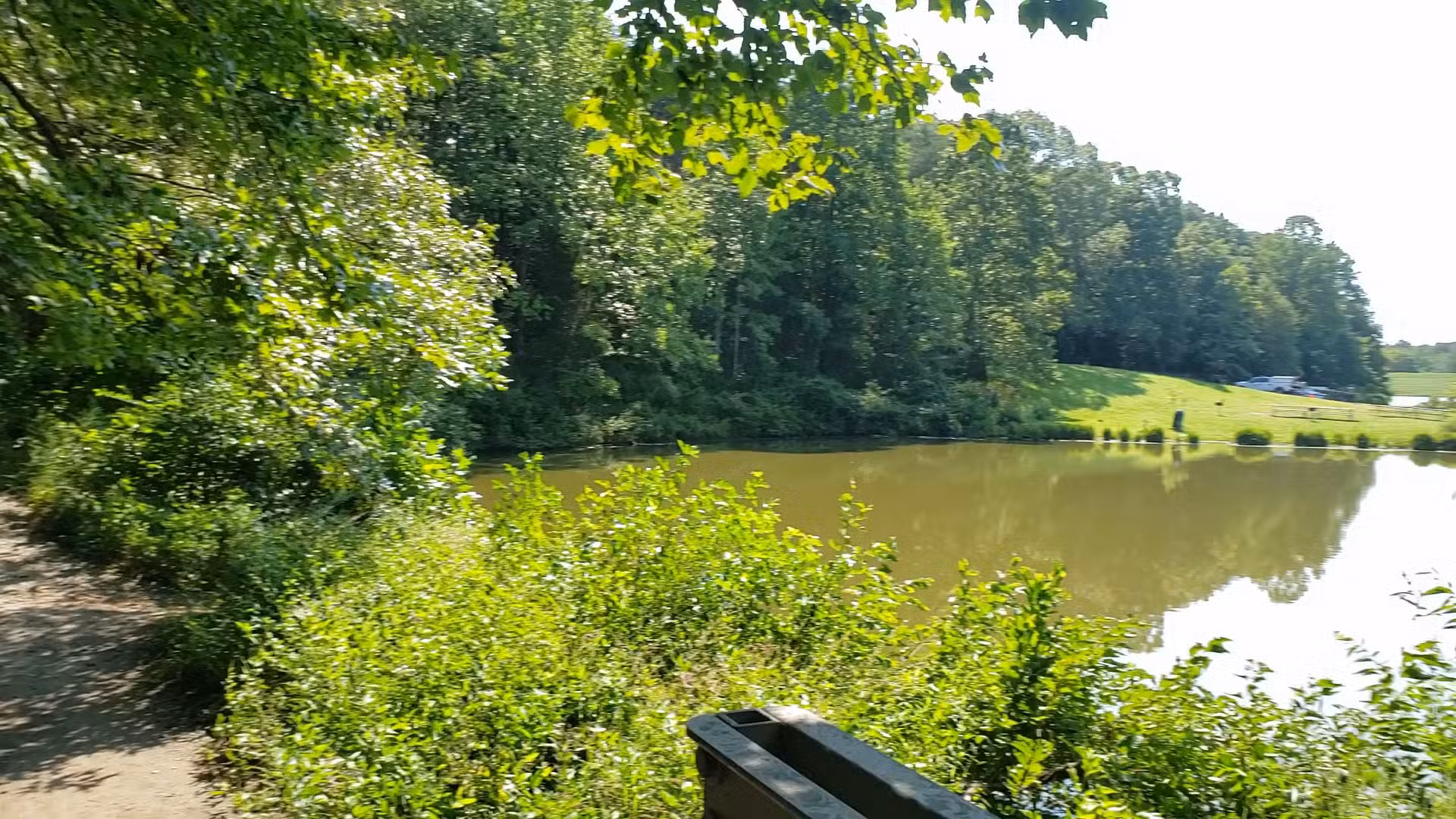 Royal Lake Park - Fairfax, VA