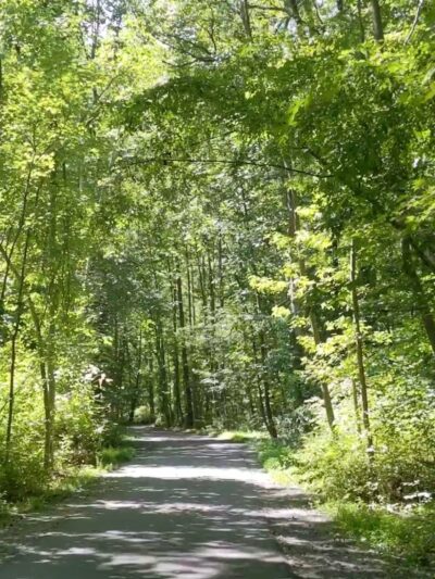 Sally Ormsby Park - Fairfax, VA
