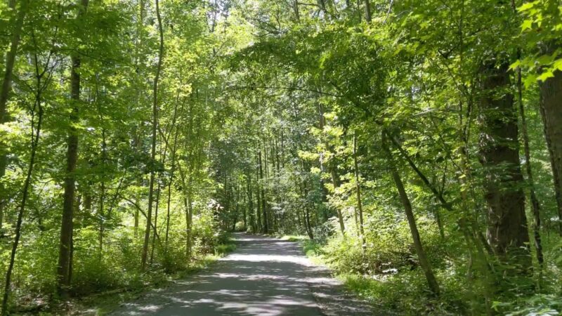 Sally Ormsby Park - Fairfax, VA