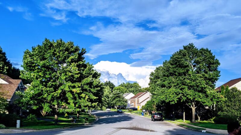 Stringfellow Park - Fairfax, VA