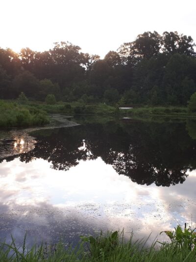 Stringfellow Park - Fairfax, VA