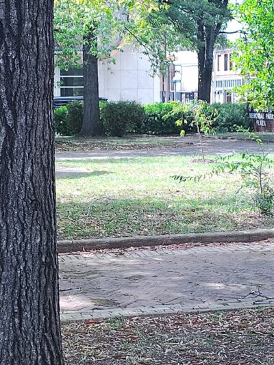 Fairfield Memorial City Park Plaza - Fairfield, AL