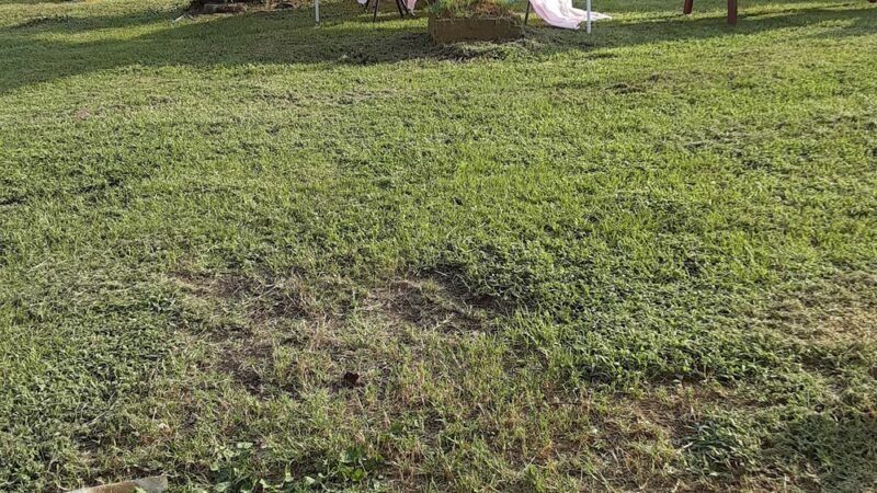 Fairfield Park & Recreation - Fairfield, AL