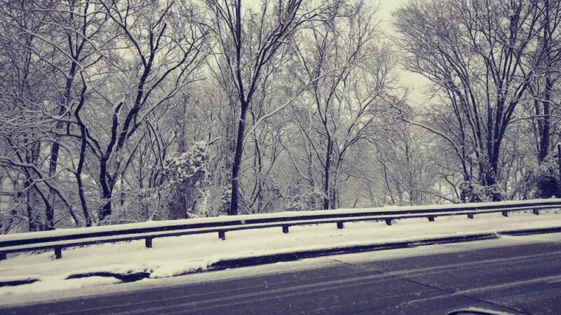 Wylam Park - Fairfield, AL