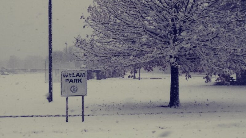 Wylam Park - Fairfield, AL