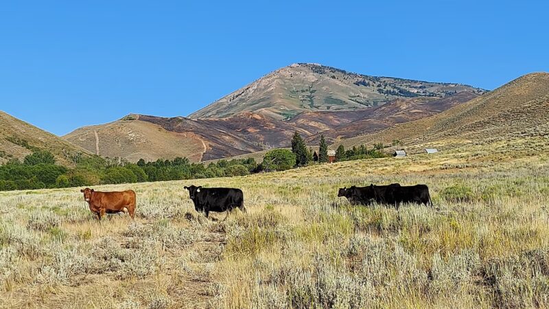 City Park - Fairfield, ID