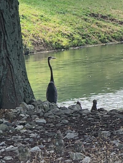 Leo French Park - Fairfield, IL