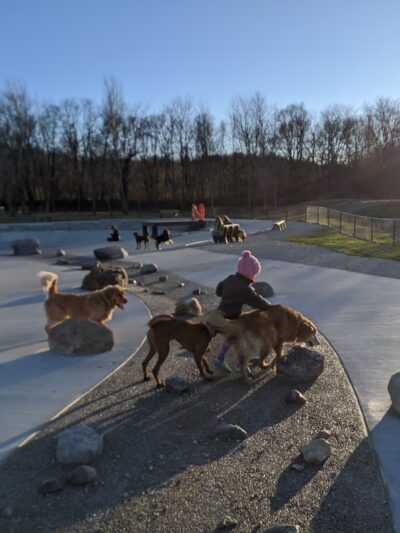 Furfield Dog Park - Fairfield, OH