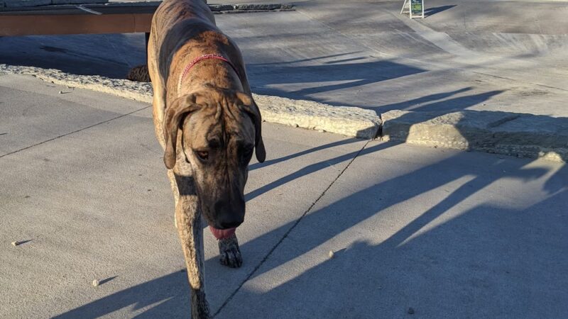 Furfield Dog Park - Fairfield, OH