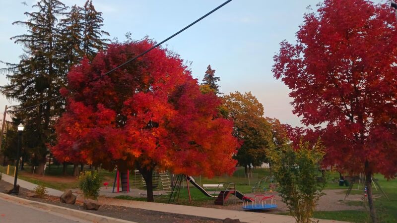 Thiel Park - Fairfield, WA