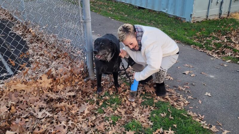 Cushman Park - Fairhaven, MA