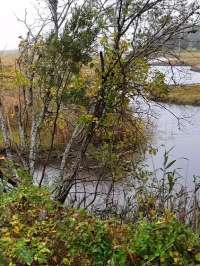Parking For Fairhaven Bike Path - Fairhaven, MA