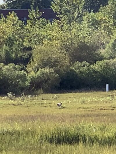 Parking For Fairhaven Bike Path - Fairhaven, MA