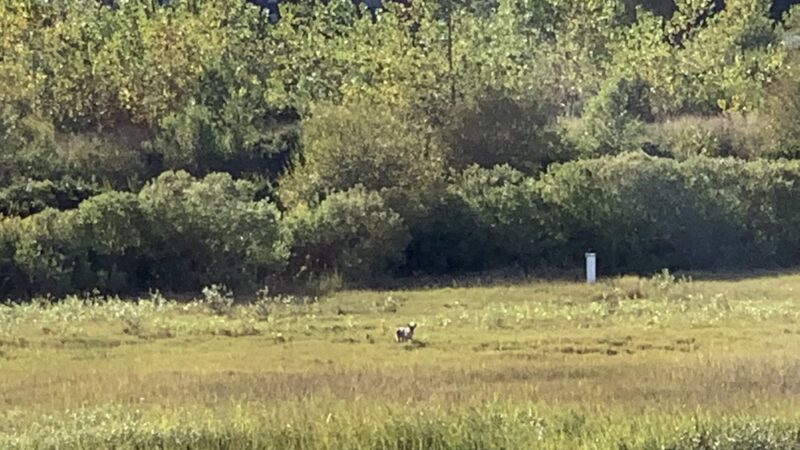 Parking For Fairhaven Bike Path - Fairhaven, MA