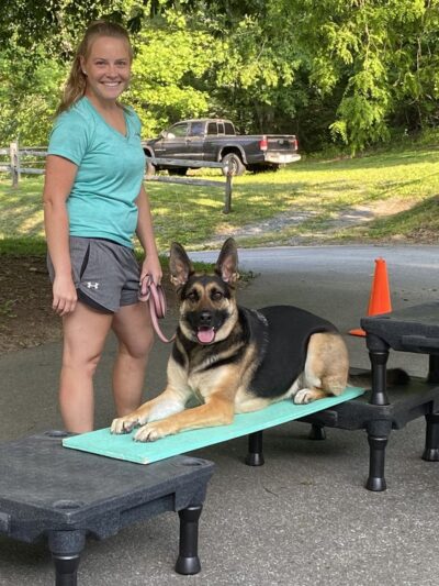 Woof in the Woods - Fairview, NC