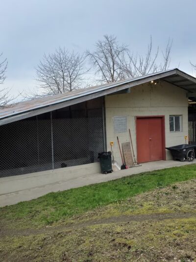 Canine Country Club - Fall City, WA