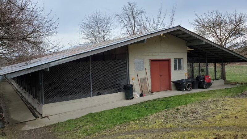 Canine Country Club - Fall City, WA