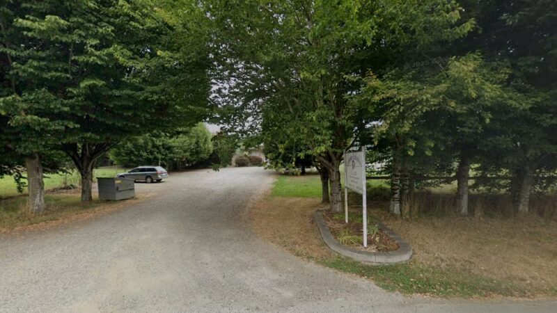 Canine Country Club - Fall City, WA