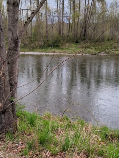 Fall City Community Park - Fall City, WA