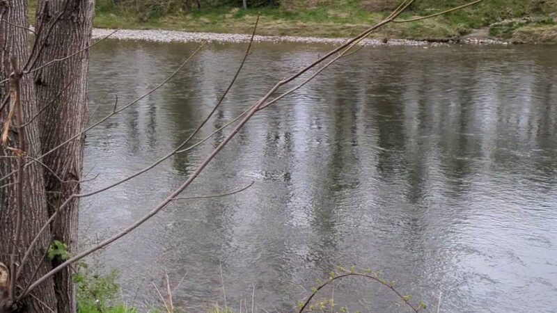 Fall City Community Park - Fall City, WA