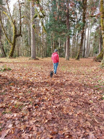 Osgood Park - Fall Creek, OR
