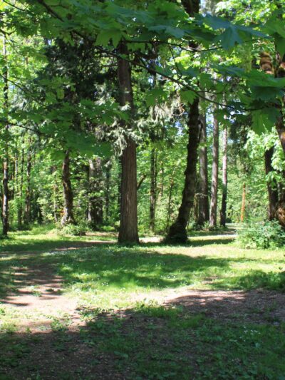 Osgood Park - Fall Creek, OR