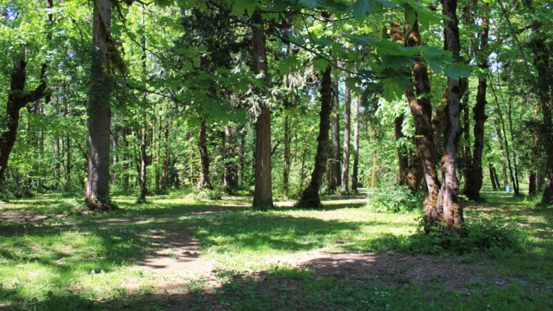 Osgood Park - Fall Creek, OR