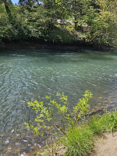 Osgood Park - Fall Creek, OR