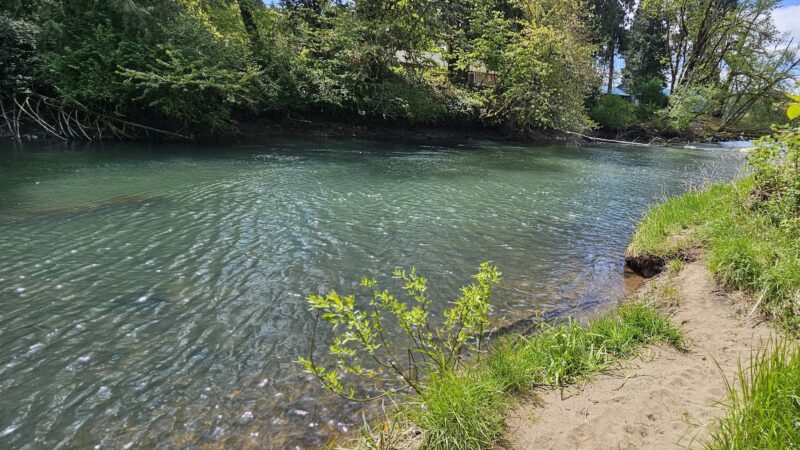 Osgood Park - Fall Creek, OR