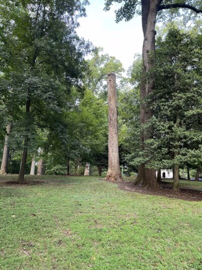 Cherry Hill Park - Falls Church, VA