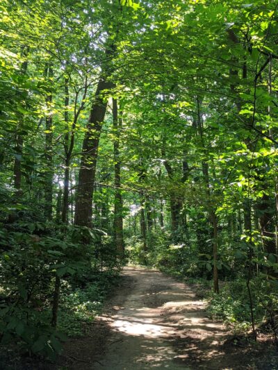 Haycock Longfellow Park - Falls Church, VA
