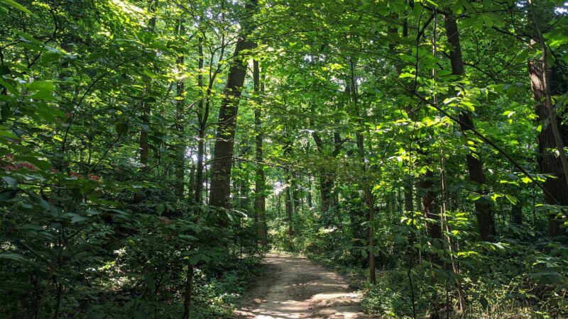 Haycock Longfellow Park - Falls Church, VA