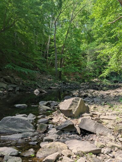 Lillian Carey Park - Falls Church, VA