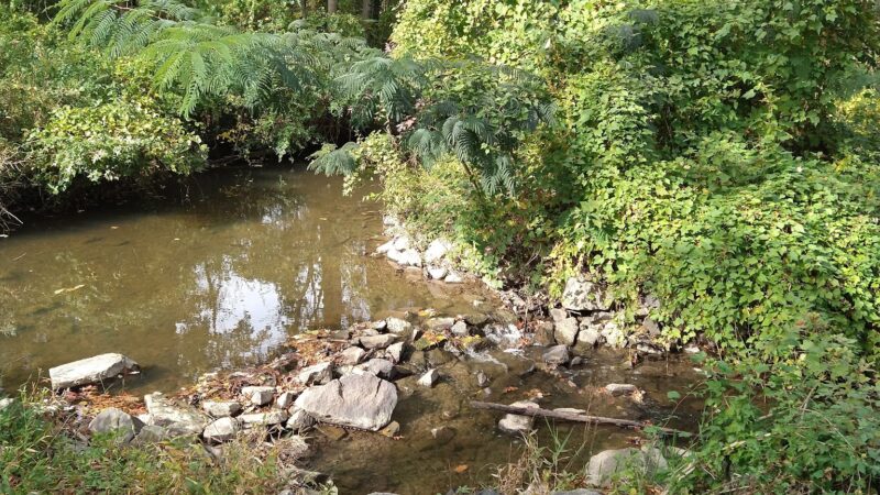 Luria Park - Falls Church, VA