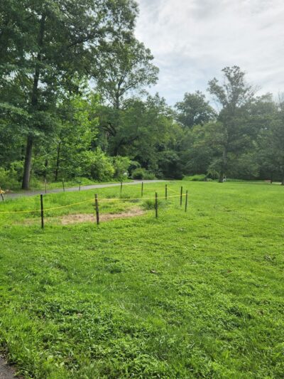 Luria Park - Falls Church, VA