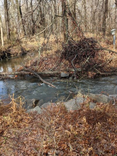 Luria Park - Falls Church, VA