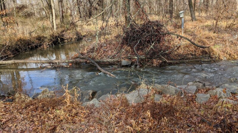 Luria Park - Falls Church, VA