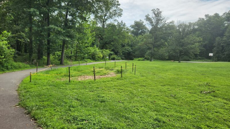 Luria Park - Falls Church, VA