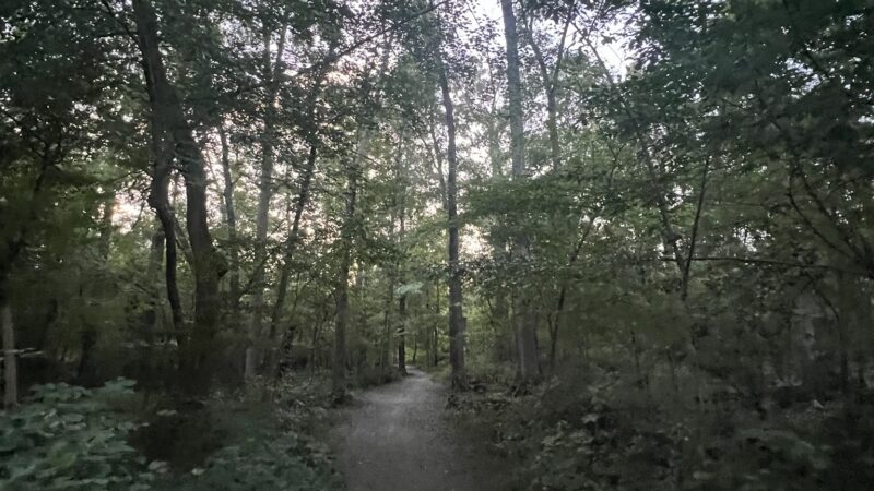 Luria Park - Falls Church, VA