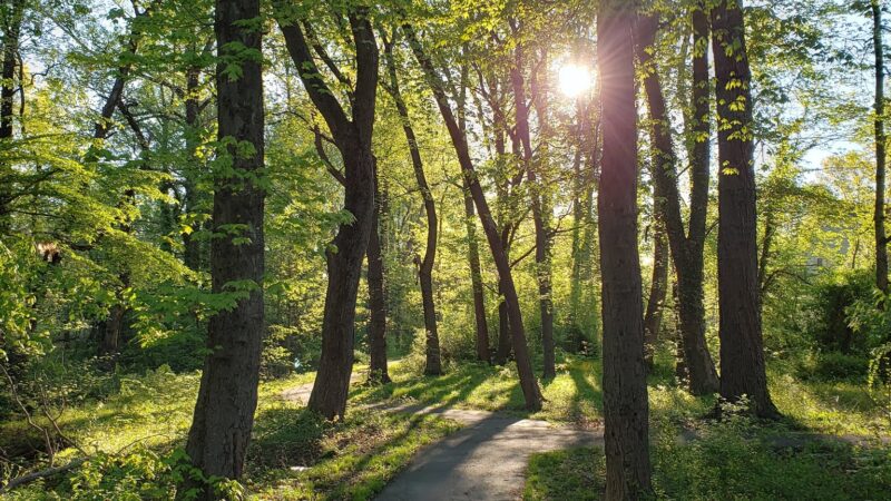 Pimmit View Park - Falls Church, VA