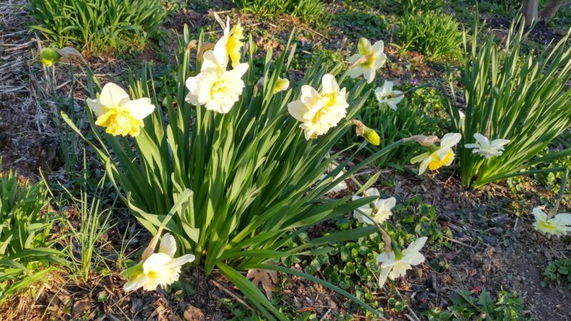 Pimmit View Park - Falls Church, VA