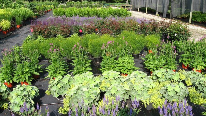 Falls Village Flower Farm LLC - Falls Village, CT