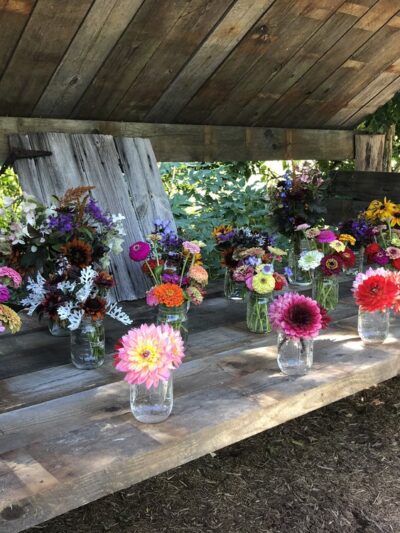 Falls Village Flower Farm LLC - Falls Village, CT