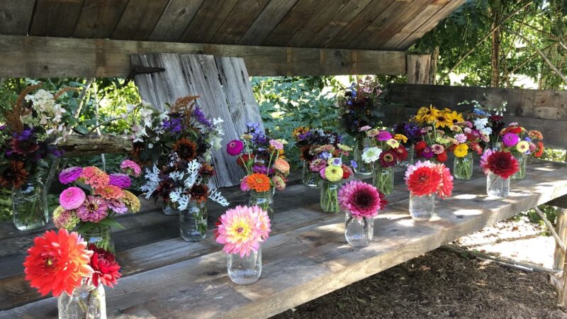 Falls Village Flower Farm LLC - Falls Village, CT