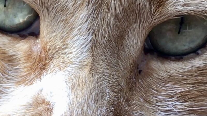 The Last Post - Falls Village, CT